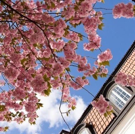 Uppsala City Hostel Phòng bức ảnh