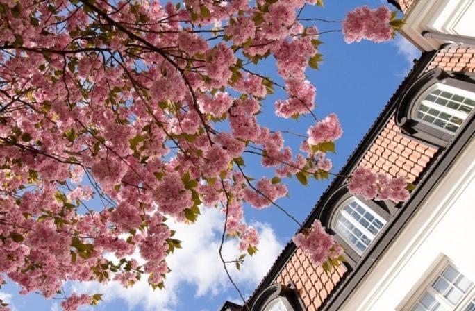 Uppsala City Hostel Phòng bức ảnh